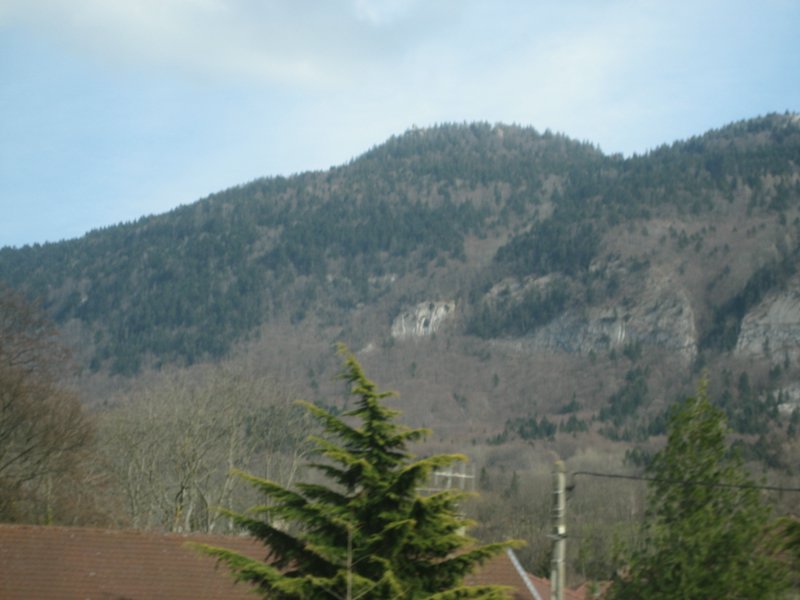 IMG_5746.JPG