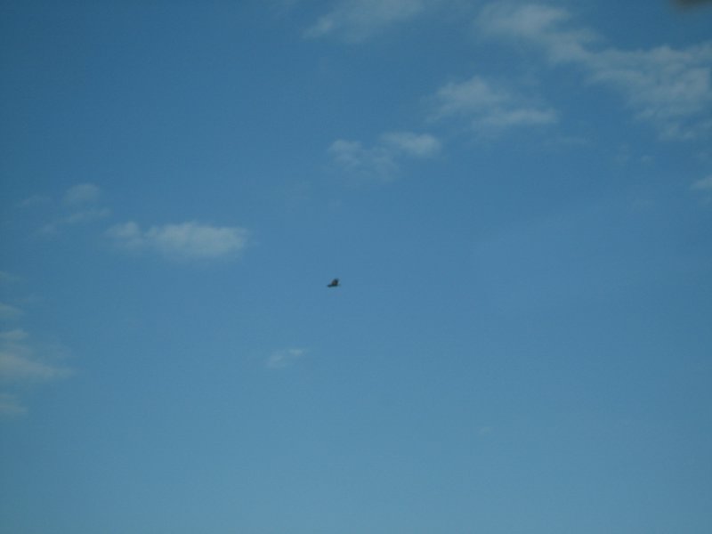 IMG_5755.JPG