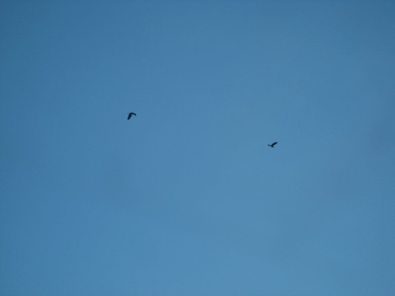 IMG_5784.JPG