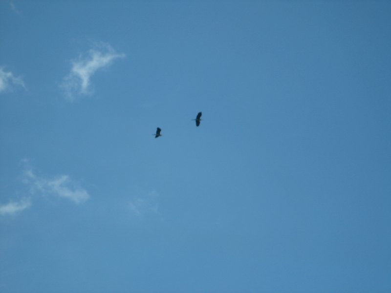 IMG_5785.JPG
