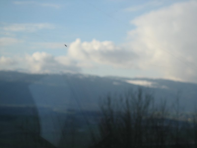 IMG_5786.JPG