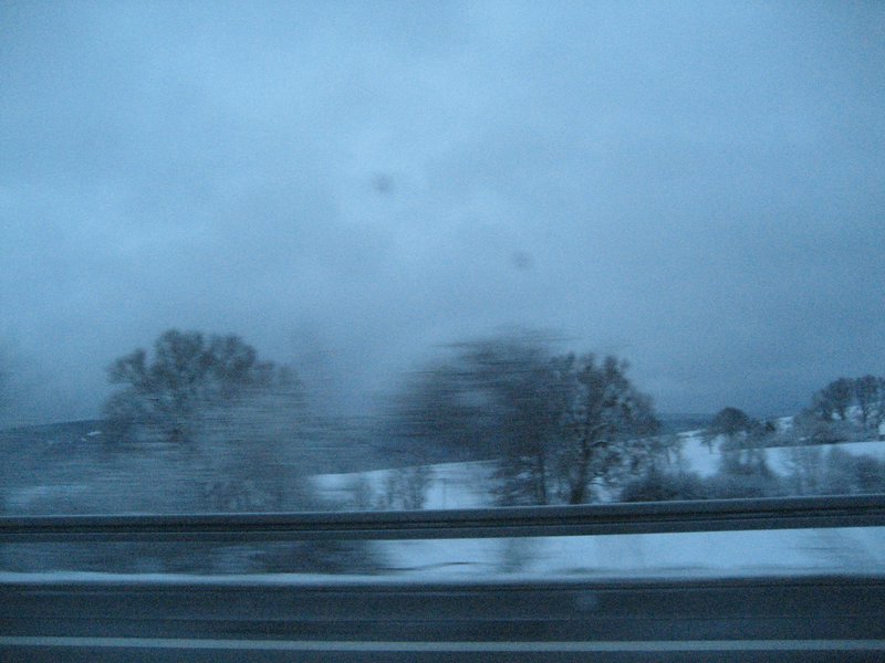 IMG_5799.JPG