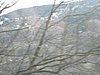 IMG_5419.JPG