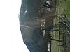 IMG_5424.JPG