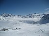 IMG_5519.JPG