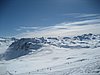 IMG_5520.JPG
