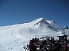 IMG_5547.JPG