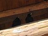 IMG_5593.JPG