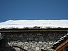 IMG_5595.JPG