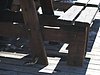 IMG_5597.JPG