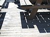 IMG_5599.JPG