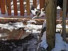 IMG_5600.JPG