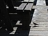 IMG_5604.JPG