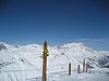 IMG_5626.JPG