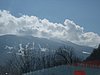 IMG_5656.JPG