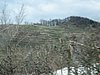 IMG_5667.JPG