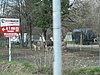 IMG_5699.JPG