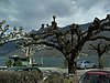IMG_5703.JPG