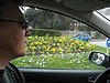 IMG_5721.JPG