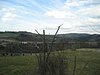 IMG_5723.JPG