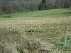 IMG_5745.JPG