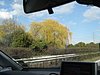 IMG_5753.JPG