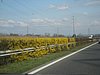 IMG_5754.JPG