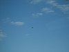 IMG_5755.JPG