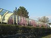 IMG_5760.JPG