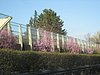 IMG_5761.JPG