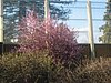 IMG_5762.JPG