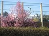 IMG_5763.JPG