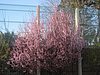 IMG_5764.JPG