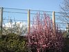 IMG_5765.JPG