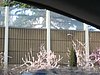 IMG_5767.JPG