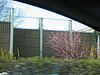 IMG_5768.JPG