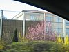 IMG_5769.JPG