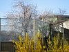 IMG_5773.JPG
