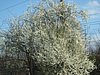 IMG_5774.JPG