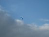 IMG_5783.JPG