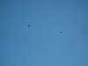 IMG_5784.JPG