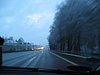 IMG_5797.JPG
