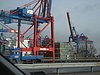 IMG_5806.JPG