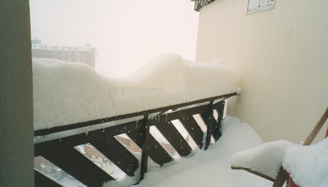 313-1_0012.jpg