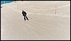 313-1_0008.jpg