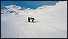 251_519-1_H011.jpg