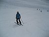 IMG_0945.JPG