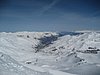 IMG_1000.JPG