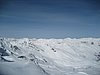 IMG_1007.JPG