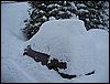 IMG_2728.JPG